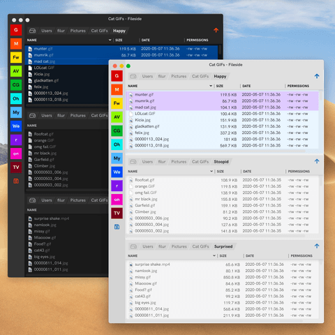 Screenshot of feature Light & dark themes